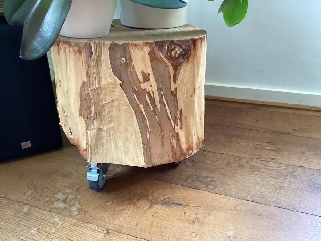 Boomstam bijzettafel of plantentafel, Huis en Inrichting, Tafels | Bijzettafels, Ophalen, Minder dan 45 cm, Minder dan 55 cm, Gebruikt