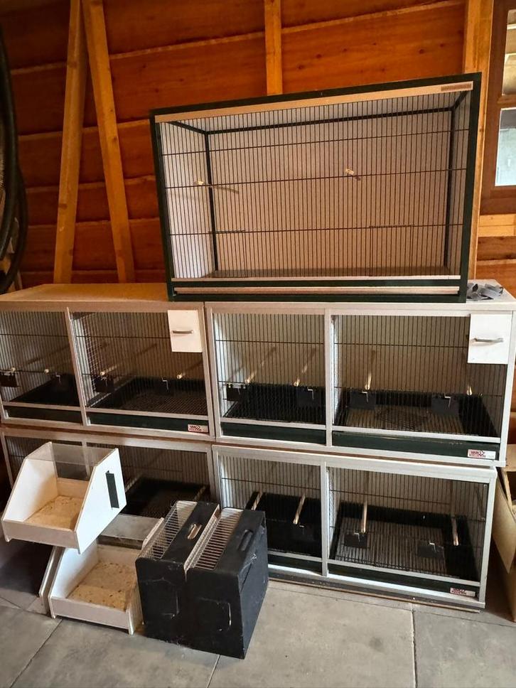 Van Keulen kweekkooien 100 cm – complete kweekopstelling, Dieren en Toebehoren, Vogels | Hokken en Kooien, Broedkooi of Kweekkooi