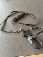 Hondenriem met tuigje, Ophalen of Verzenden, Nieuw