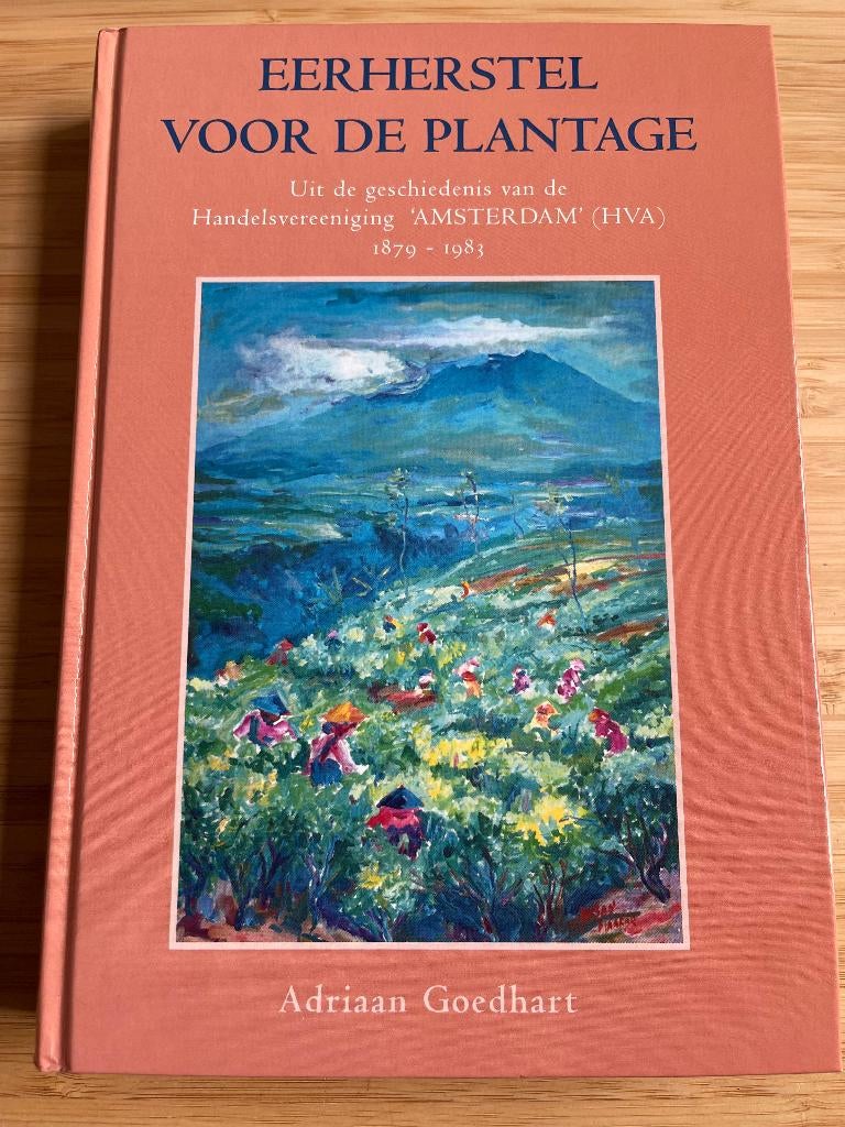 Eerherstel Voor De Plantage Adriaan Goedhart, Boeken, Ophalen of Verzenden, Zo goed als nieuw, Azië