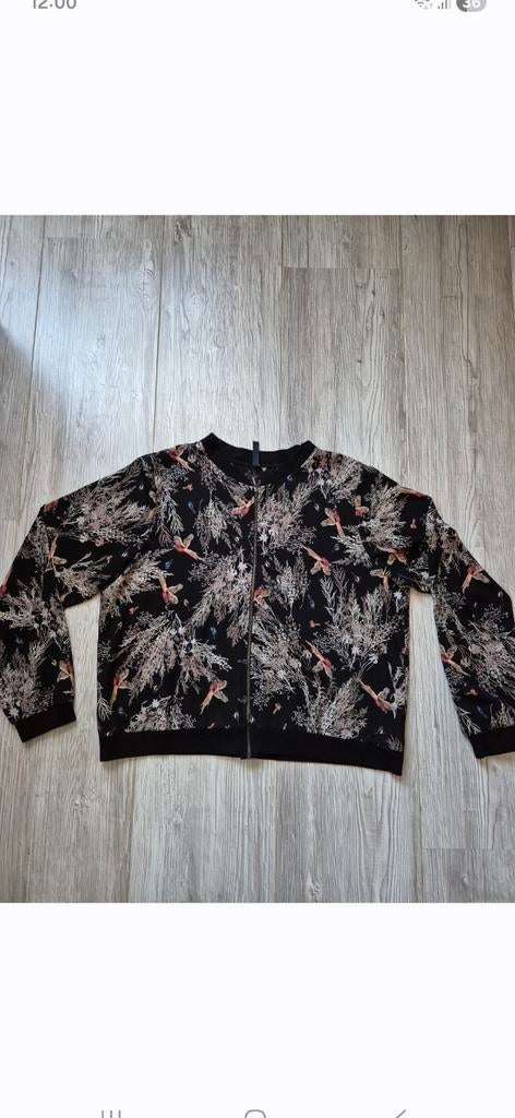 Paprika maat 1, Kleding | Dames, Truien en Vesten, Zo goed als nieuw, Maat 42/44 (L), Ophalen of Verzenden