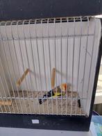 koppel putters, Ophalen of Verzenden, Nieuw, Hout, Overige typen