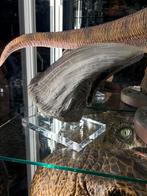 Elite Creature Collectibles Jurassic Park T Rex Foot Claw, Ophalen of Verzenden, Zo goed als nieuw, Film, Beeldje, Replica of Model