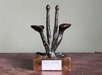 Brons kunstwerk van Heidi Kippenberg, Antiek en Kunst, Ophalen of Verzenden