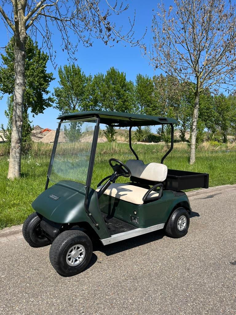 Electrische golfkar met pas nieuwe accus rijdt heerlijk, Ophalen, Zo goed als nieuw, Golfkar