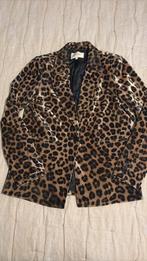 Costes blazer, Ophalen, Zo goed als nieuw