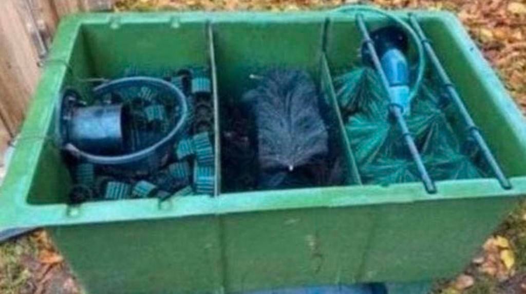 3 kamer filter, Tuin en Terras, Vijver-toebehoren, Ophalen, Zo goed als nieuw, Vijverfilter