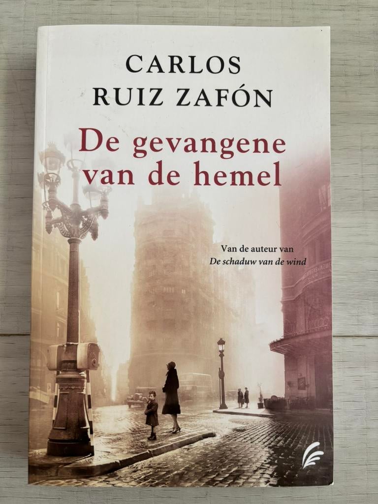 NIEUW! De gevangene van de hemel, Ophalen of Verzenden, Nieuw