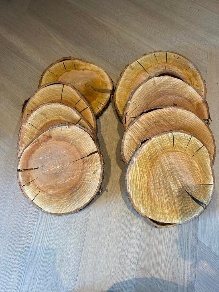 Boomstamschijven - 8 stuks, Ophalen, Gebruikt, Overig