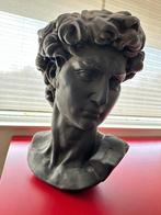 Buste van Michelangelo's 'David', Ophalen, Zo goed als nieuw