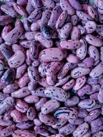 Biologische pronkbonen: Rode Bloemen, Heerlijke Bonen, Ophalen of Verzenden, Voorjaar, Volle zon, Zaad