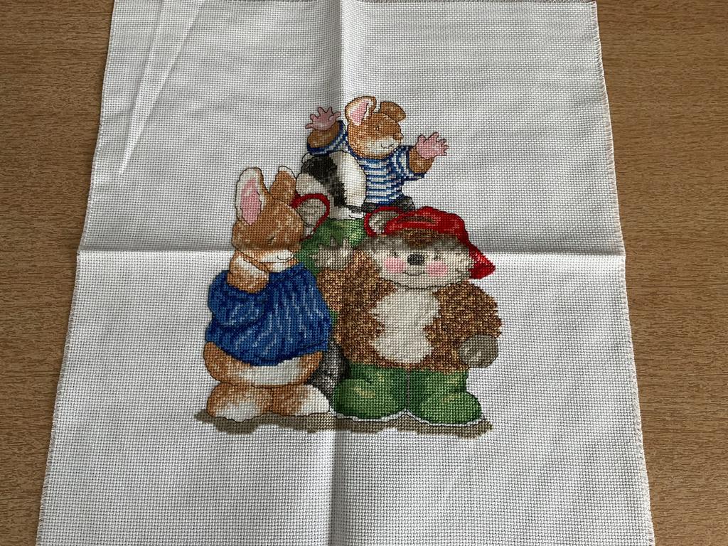 Borduurwerk, Ophalen of Verzenden, Zo goed als nieuw