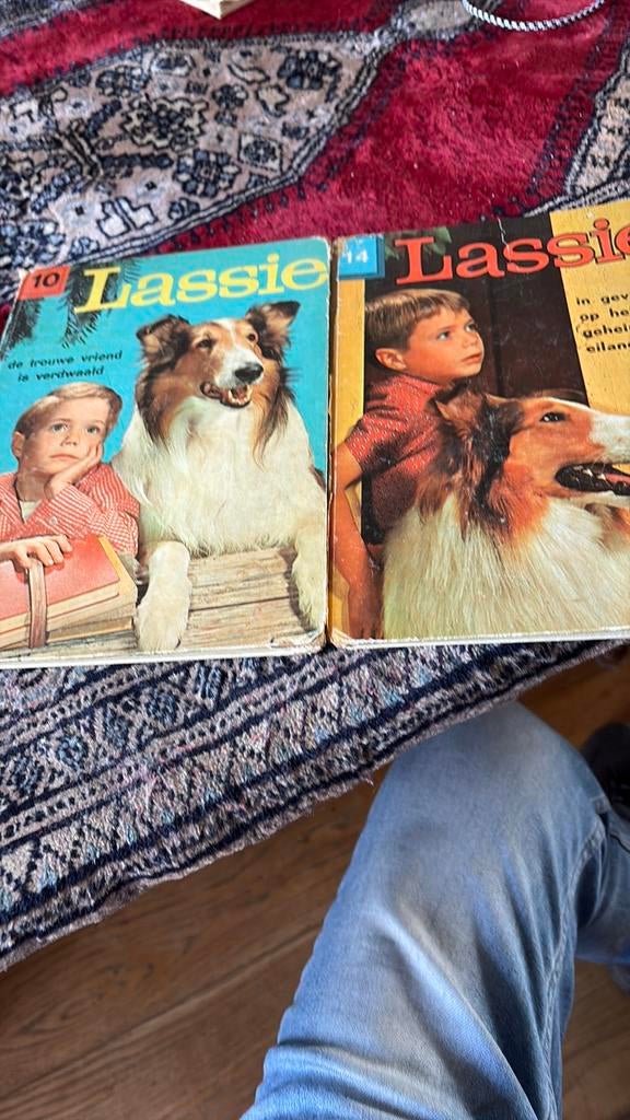 Lassie, Boeken, Ophalen of Verzenden, Gelezen