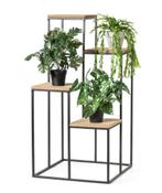 Plantentafel met 4 niveaus 40x80x40cm, Ophalen, Minder dan 55 cm, Zo goed als nieuw, Overige vormen