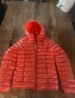 Pikeur zomer jas, Kleding | Dames, Jassen | Zomer, Ophalen of Verzenden, Zo goed als nieuw, Maat 34 (XS) of kleiner, Roze