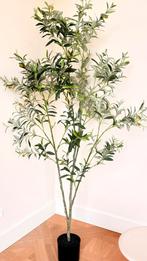 Kunstplant olijfboom 180 cm hoog van Silk-ka in zijde., Ophalen, Zo goed als nieuw, Binnen