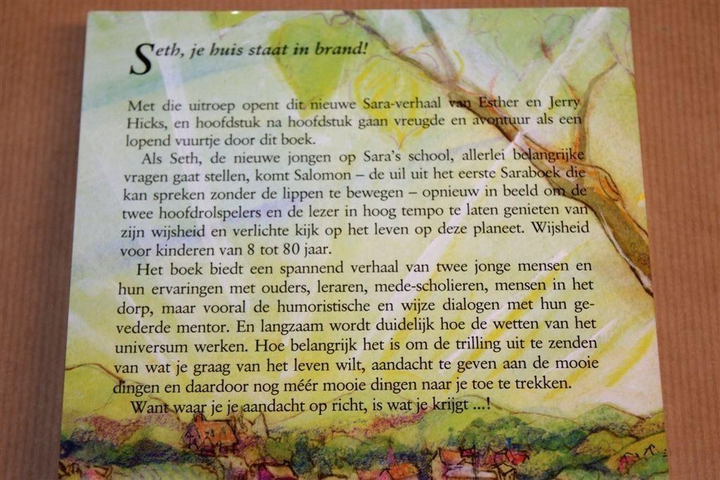 Sara en Seth — Esther & Jerry Hicks, Wijze Levenslessen, Boeken, Ophalen of Verzenden, Gelezen, Overige onderwerpen, Achtergrond en Informatie