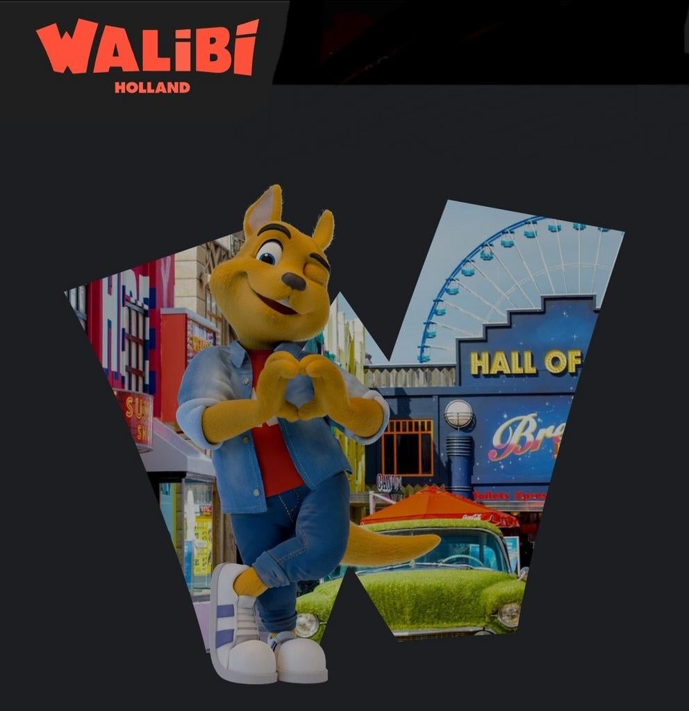 4 kaarten voor Walibi Holland, Drie personen of meer, Ticket of Toegangskaart