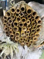 Bamboe stokken 2 meter, Tuin en Terras, Palen, Balken en Planken, Ophalen of Verzenden, Gebruikt, 180 tot 250 cm, Palen