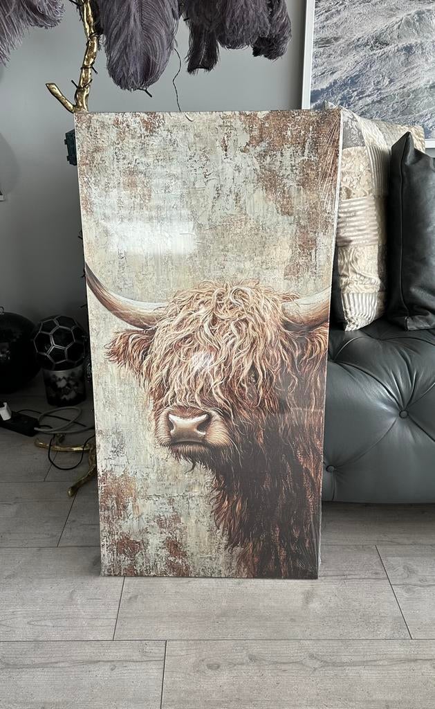 Schotse hooglander , schilderij (foto print) , nieuw, Ophalen, Nieuw, Schilderij, 75 cm of meer