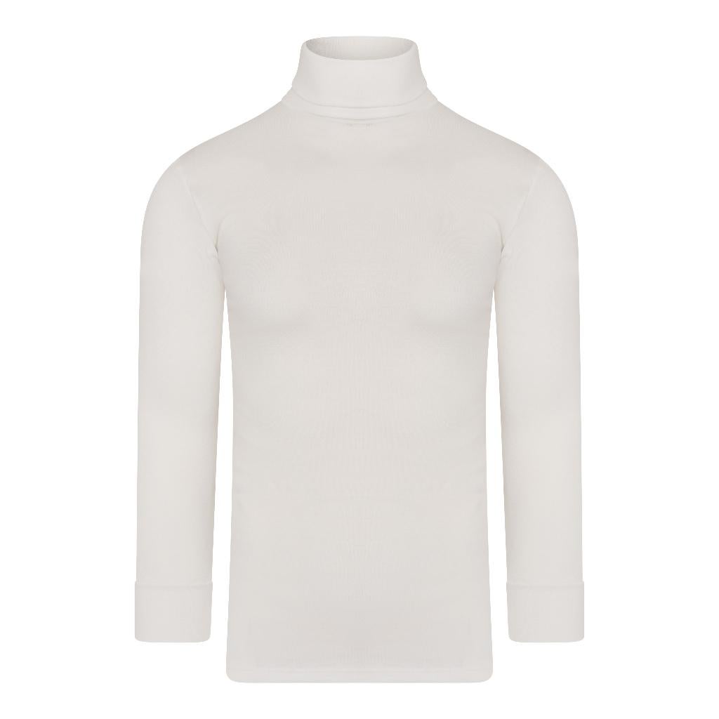 Beeren Heren Thermo Colshirt L.Mouwen mt M-XXL 2stuks NIEUW, Beeren Bodywear, Zwart, Ophalen of Verzenden, Nvt