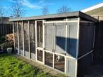 luxe kippenhok met veel extra's, Dieren en Toebehoren, Pluimvee | Toebehoren, Ophalen, Gebruikt, Kippenhok of Kippenren