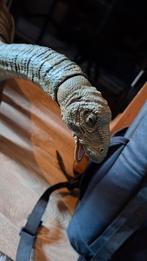 Collosall mattel Dinosaurus - apatosaurus, Ophalen, Zo goed als nieuw, Jongen of Meisje