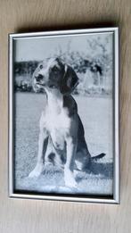 Antiek klein zilver kleur fotolijst gemerkt bol glas Stamax., Ophalen of Verzenden