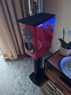 Dynaudio special 40 forty Anniversary, Overige merken, Ophalen of Verzenden, Zo goed als nieuw, 120 watt of meer