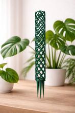 Modulaire mospaal – uitbreidbaar – 20 cm, 200 cm of meer, Overige soorten, In pot, Groene kamerplant