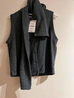Top Zara - maat L, Zara, Maat 42/44 (L), Nieuw, Ophalen of Verzenden