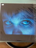 Porcupine Tree ‎– Fear Of A Blank, Ophalen of Verzenden, Gebruikt, 12 inch, Poprock