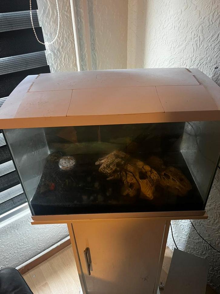 Aquarium, Dieren en Toebehoren, Vissen | Aquaria en Toebehoren, Zo goed als nieuw, Leeg aquarium, Ophalen