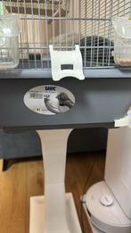 cockatiel, Dieren en Toebehoren, Geslacht onbekend, Parkiet, Tam