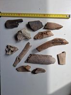 Mammoet botten, Verzamelen, Mineralen en Fossielen, Ophalen of Verzenden, Fossiel