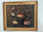 Schilderij Paddenstoelen door Henk Poeder, Antiek en Kunst, Ophalen