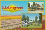 NOORD SCHARWOUDE Hotel Camping Molengroet (Roodstempel), Verzenden, 1980 tot heden, Gelopen, Noord-Holland