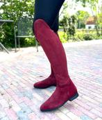 NIEUWE Celeris rijlaarzen maat 42, Dieren en Toebehoren, Ophalen, Dressuur, Dames, Nieuw