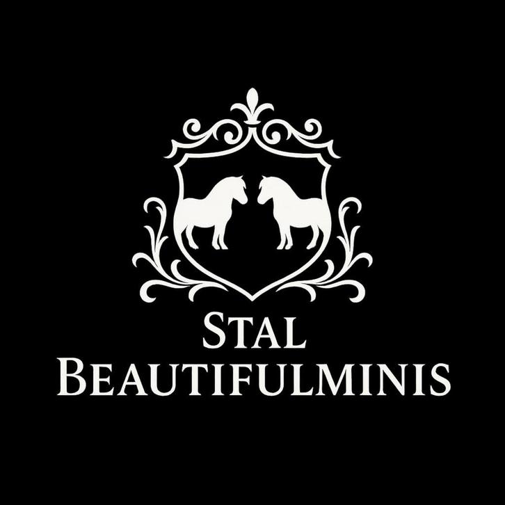 Te koop gezocht!, Dieren en Toebehoren, Paarden en Pony's | Verzorgingsproducten, Ophalen