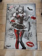 Poster Batman Harley Quinn, Ophalen, Rechthoekig Staand, Zo goed als nieuw, A1 t/m A3