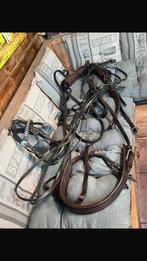 Mentuig maat mini shetlander, Dieren en Toebehoren, Ophalen of Verzenden, Overige soorten