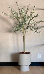 Prachtige Zijden Olijfboom in Pot - mooie kwaliteit, Ophalen, Nieuw, Binnen