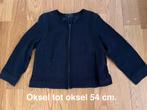 Leuk vestje met rits COMMA,, Verzenden, Zo goed als nieuw, Maat 42/44 (L), Blauw