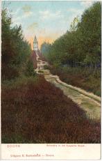 Doorn  Belvedere in het Kaapsche Bosch, Ophalen of Verzenden, 1980 tot heden, Ongelopen, Utrecht