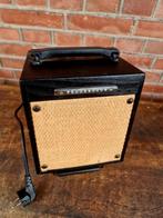 Ibanez T10 Akoestische Gitaarversterker, Muziek en Instrumenten, Ophalen of Verzenden, Zo goed als nieuw, Gitaar, Minder dan 50 watt