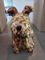 Spaarpot hond pomme-pidoe, Verzamelen, Ophalen of Verzenden, Zo goed als nieuw