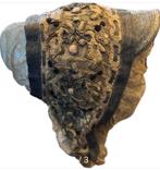 Prachtige antieke bonnet, Antiek en Kunst, Ophalen of Verzenden