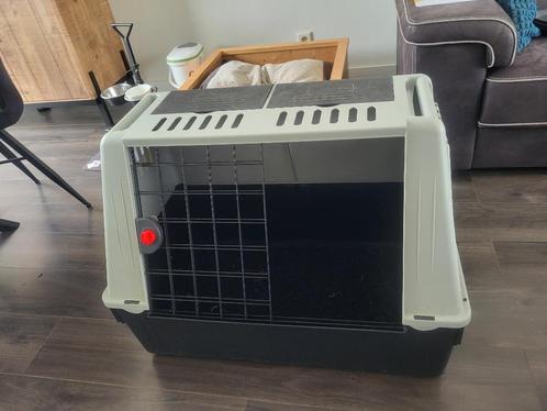 Ferplast reisbox, Dieren en Toebehoren, Transportboxen, Zo goed als nieuw, Ophalen