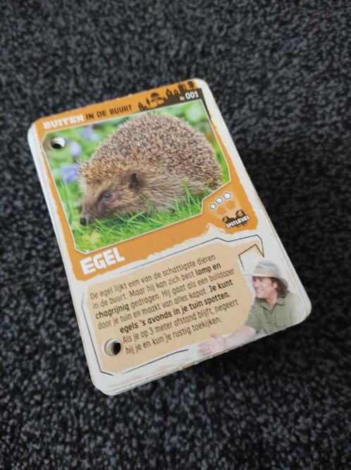 Buiten in de Buurt Kaartjes - Plus Supermarkt, Hobby en Vrije tijd, Stickers en Plaatjes, Nieuw, Meerdere plaatjes, Ophalen