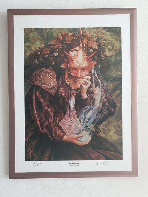 Brian Froud Art print gesigneerd en genummerd en ingelijst, Antiek en Kunst, Kunst | Schilderijen | Modern, Ophalen of Verzenden